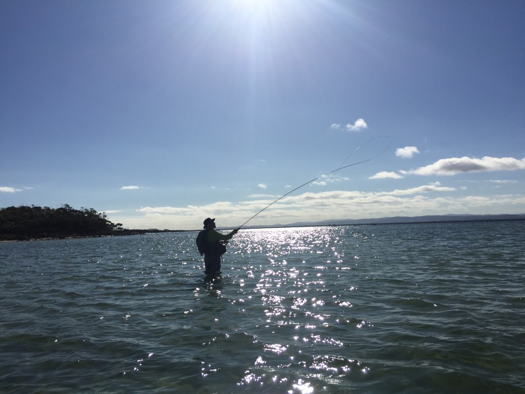 Light and Spey Loop