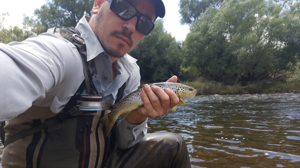 dusan-trout