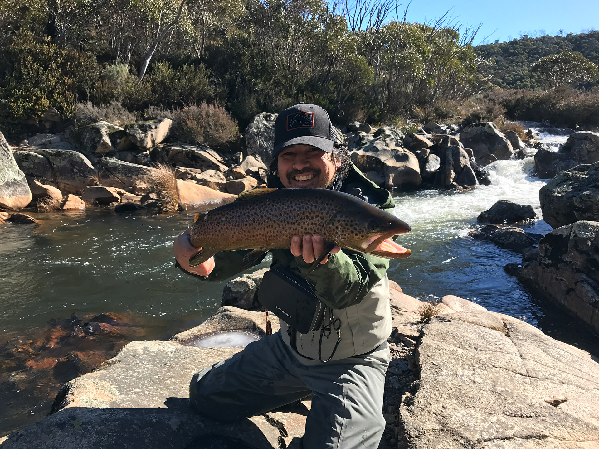 Calder Migration Delivers Mixed Results - Calder Fly Fishing Association -  A club located in Gisborne, Macedon Ranges, Victoria